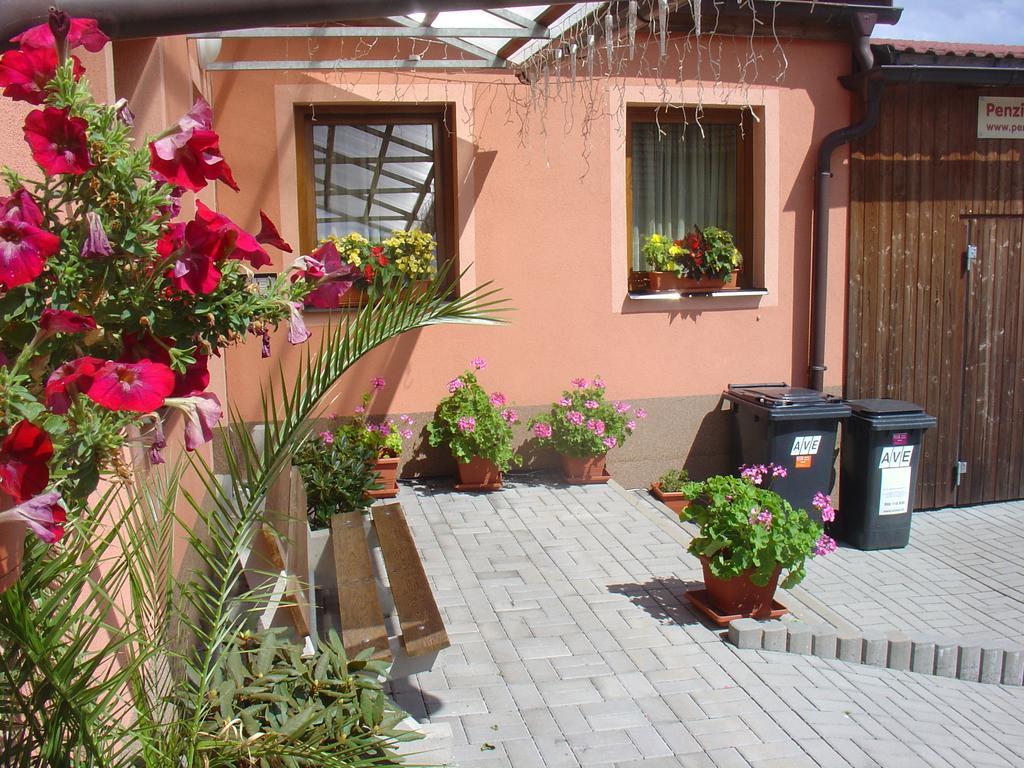 Wellness Penzion Palice Jindřichŭv Hradec Kültér fotó