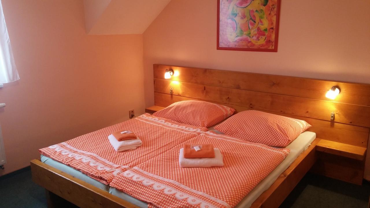 Wellness Penzion Palice Jindřichŭv Hradec Kültér fotó